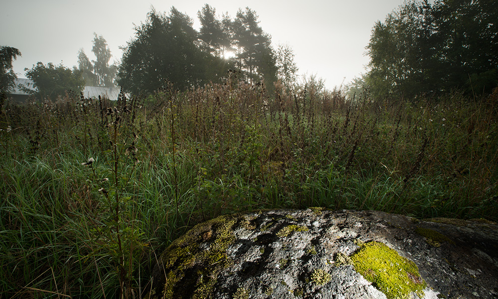 Etuperkon uhrikivi, Turku
