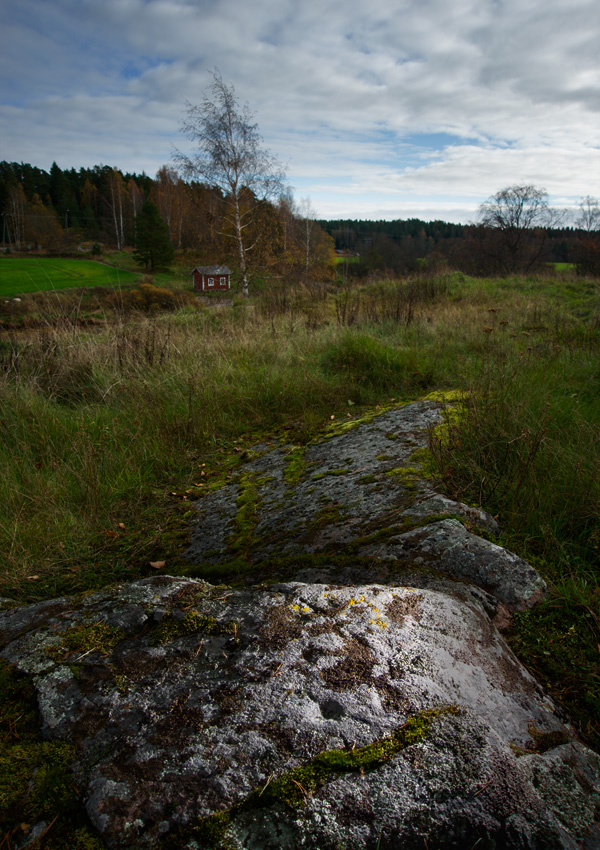Nautelanmyllyn kuppikallio, Lieto